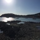 제이드리조텔 이미지