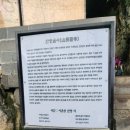 제주 산방산 암벽식물지대 | 제주 산방산 암벽식물지대
