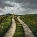 디지털 문맹 탈출 스마트폰 기초 교실 | 처음 시작할 때 알아두면 좋은 인터넷 상식 실전 활용법