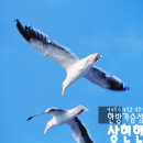 장군터(2) 이미지