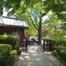 더 남산 이미지