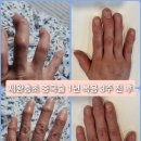 사랑건강식품