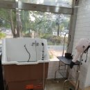 샤워앤독 이미지