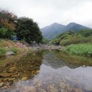 배너미오토캠핑장 이미지