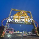 고래불수산 | [영덕 맛집] 🦀 영덕 동광어시장 먹방｜고래불수산 대게 + 회, 초장집에서 싹- 가능!