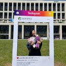 더뉴복싱 이미지