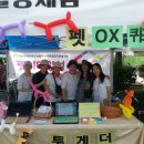 (주)펫투개더 이미지