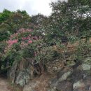 단장면보건지소 이미지