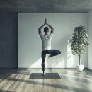 스트레칭 이미지