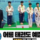 어룡태권도 이미지