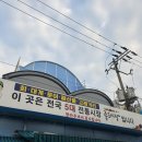 죽도마트 | 포항 죽도시장 횟집 바가지 지치셨나요? '대구회식당' 정직한 회포장 후기