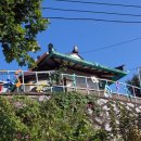 경상도찜닭 이미지