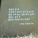 이영춘「풀잎」 Daum카페