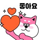 풍향초병설유치원 이미지