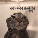 인간과허브 | 아이허브 내돈내산 영양제 추천