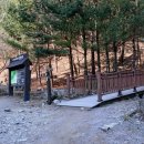 안산동(시경계) | 【2024.03.10】12. 안양 수리산 변산 바람꽃 찾아서...