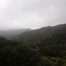 세종청사공인번역행정사사무소 이미지