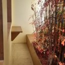 (주)산성헬스케어 이미지