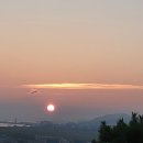 뿔들의 섬 이미지