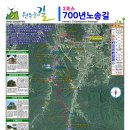 원주굽이길 2코스 700년 노송길 이미지