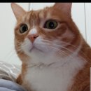 핏앤핏PT 이미지