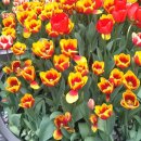 곡성-054 이미지