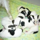 중화1동-010 이미지