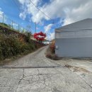 수원-1667 이미지