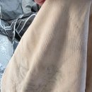 오토세탁소 | 폴딩트레일러 오토홈스 캠프렛 곰팡이 입니다