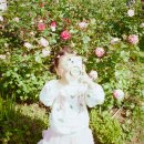 우성슈퍼 | 후기│우성상사 필름카메라 필름스캔 미놀타 X-700 캐논 프리마 슈퍼 105 U