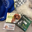 하트온동물병원 이미지