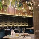 디라이프 이미지