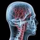 로엘심장혈관흉부외과의원 이미지