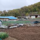 초부4리 이미지