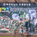 10월10일(화)인천 드림파크공원 꽃길걷기 후기 이미지