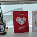 토월초등학교 | 밋밋한 눈빛 탈출! 내 쌩얼을 구원해 줄 속눈썹 갓벽 후기