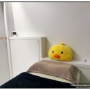 슈가슈가링 이미지