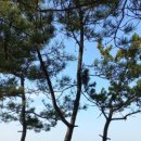 하나 외국어번역 행정사사무소 이미지