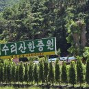 안양한증원