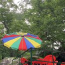 GR(하동군)-[악양서로]-상-2 | [전남 구례&amp;경남 하동] 전라도와 경상도를 가로지르는 자연 충만 구례, 하동 여행 ♪