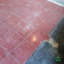 강남호프 이미지