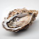 통영스토리 이미지