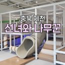 선녀와 나무꾼 | [충북 제천] 선녀와나무꾼 캠핑장 / 사이트 및 시설 총정리 / 솔직후기