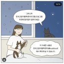 한국고양이혈액센터 이미지