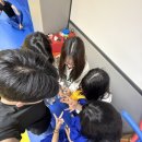 백곰 유도클럽 이미지