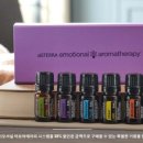 룩스전기조명