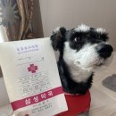 서대전동물약국 이미지