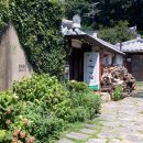 교동다원 네이버블로그