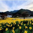 지리산목장 이미지