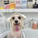 트리밍153 이미지